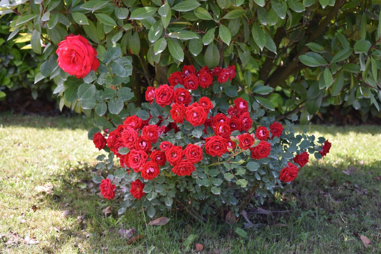Međugorje Guest House Regina Mundi מראה חיצוני תמונה