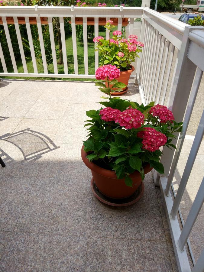 Međugorje Guest House Regina Mundi מראה חיצוני תמונה